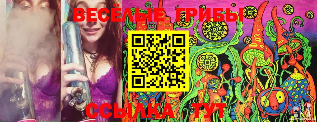 Тимашёвск  наркотики  Вход с VPN  Галлюциногенные грибы GOLDEN TEACHER 
