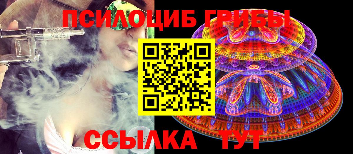 Псилоцибиновые грибы ЛСД Тимашёвск
